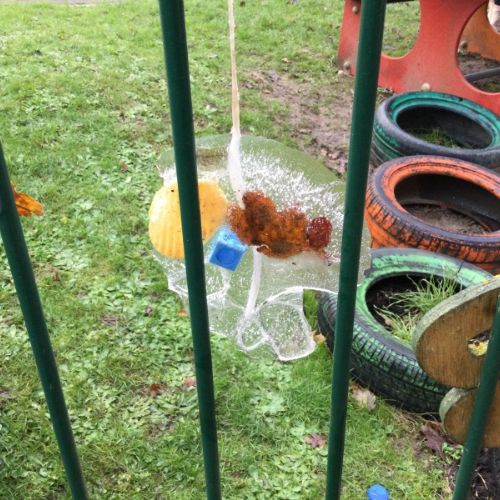 Creating our own ice mobiles. They looked amazing hanging on our fence!