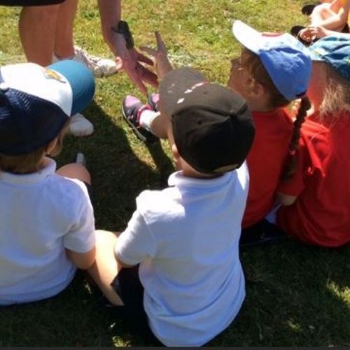 Apple Class Fun Day