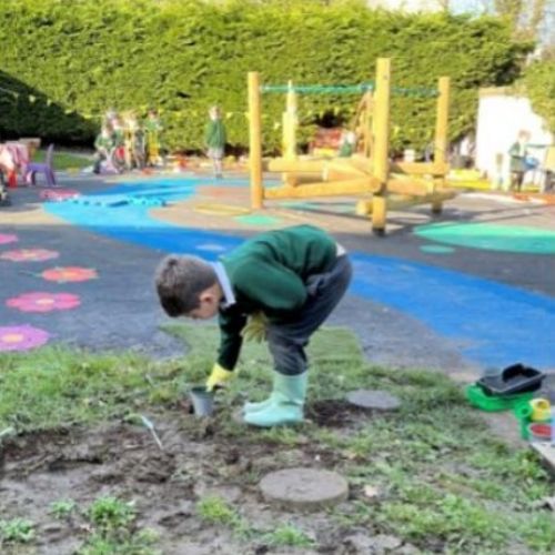 Ready, Steady, Grow!