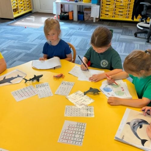 Bear Hunt Writing