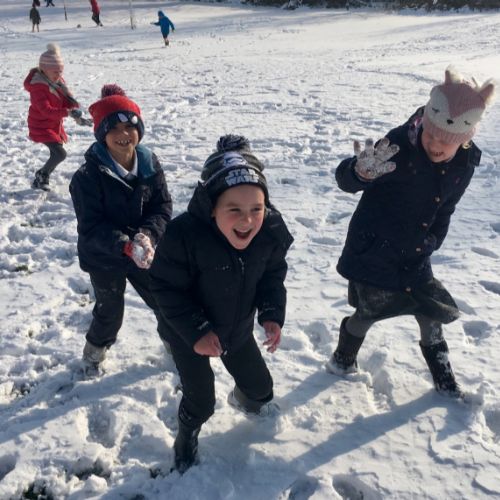 snow1