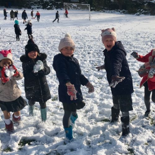 snow2