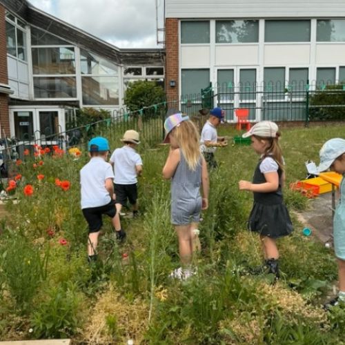Exploring what we have grown