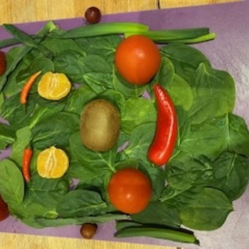Hayley'sArcimboldoInspiredArt