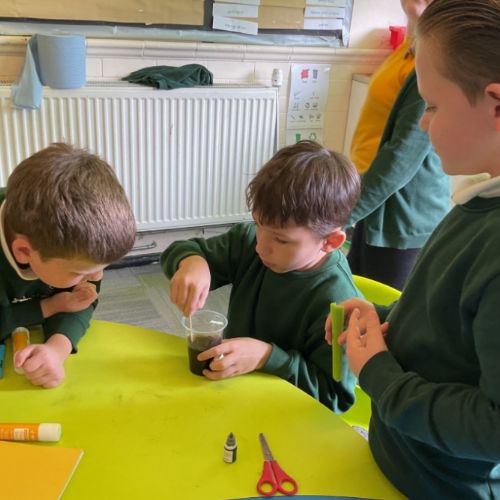 Science Investigation