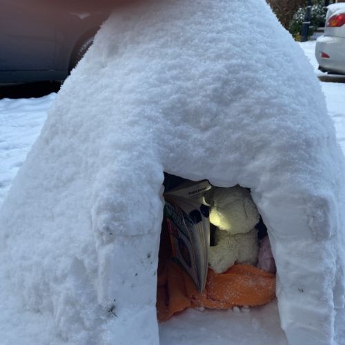 Norah'sPolarBearinIgloo2
