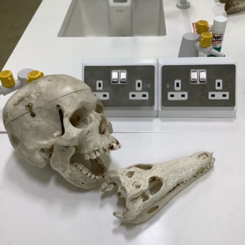 Science1