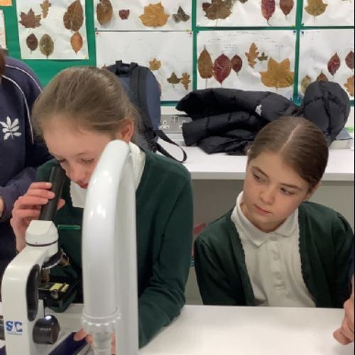 Science10