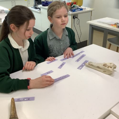 Science11
