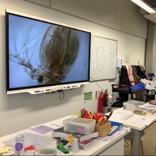 Science8