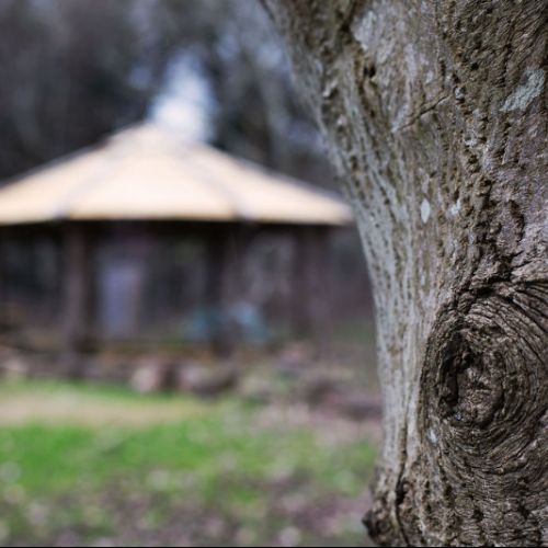 WoodshackForestSchool13)1)