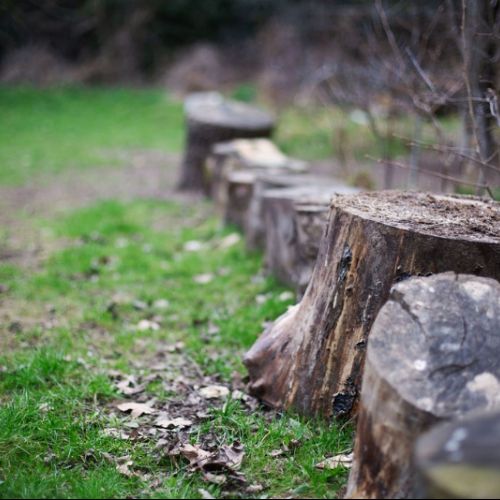 WoodshackForestSchool15)1)