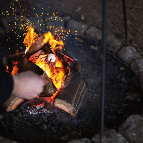 WoodshackForestSchool33)1)
