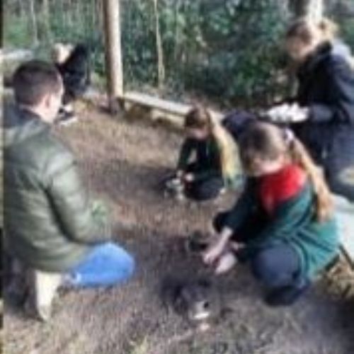 Acacia Class at Forest School