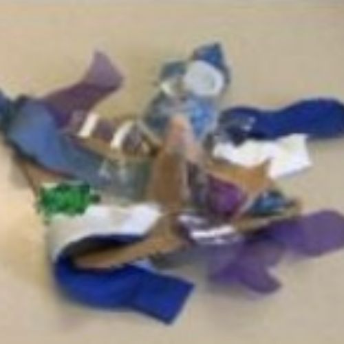 We have had a busy week in Year 5/6! We created recycled art at the end of last week and have some images to share