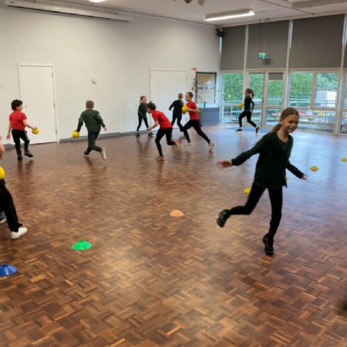 Year 5/6 class Dodgeball PE session