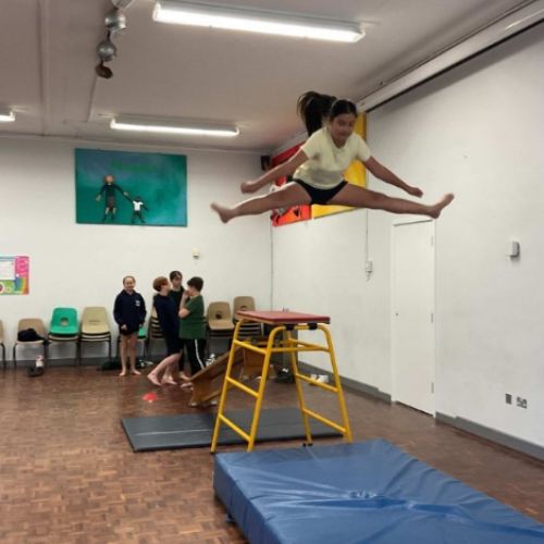 Rainy day gymnastics fun
