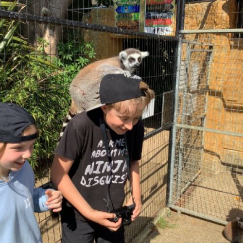 georgeandlemur
