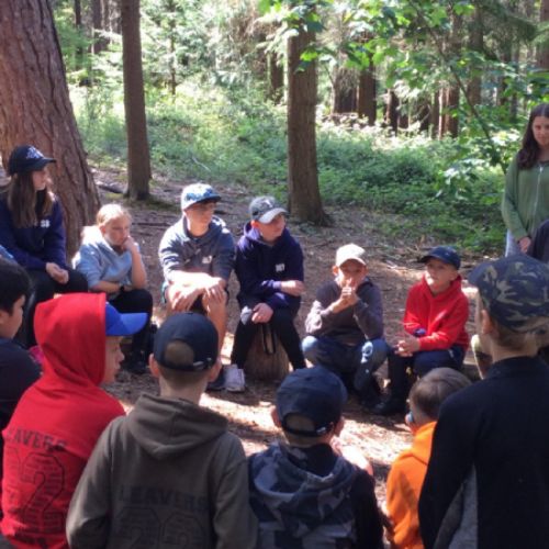 maxpeterbenforestschool