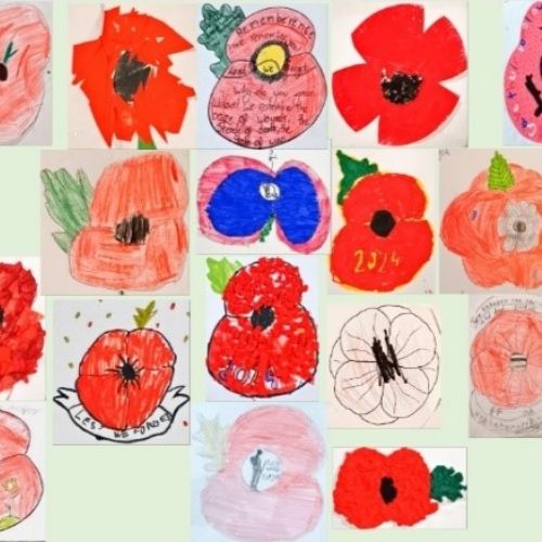 Poppies
